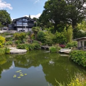 Planting around pond