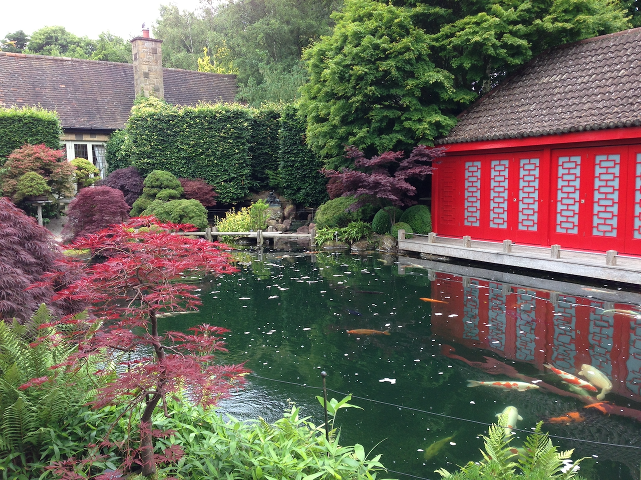 Koi-Kent