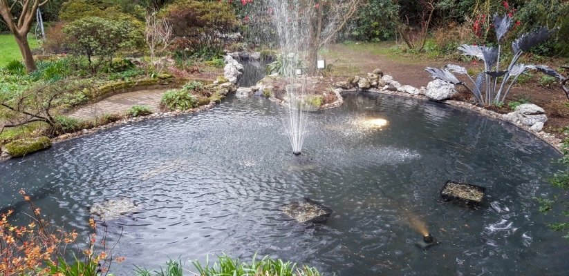 Full Pond Design - Image 2