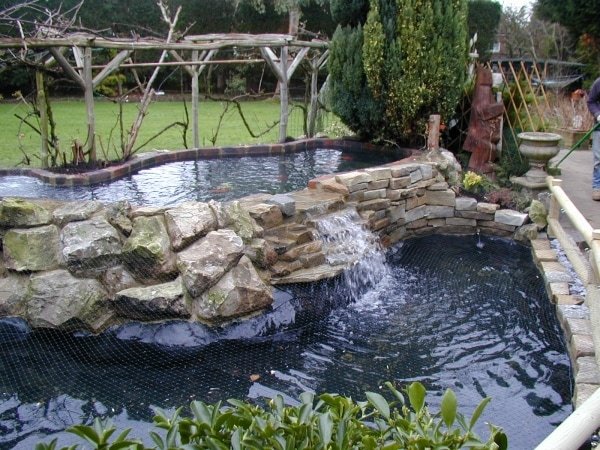 Pond Construction - Image 2