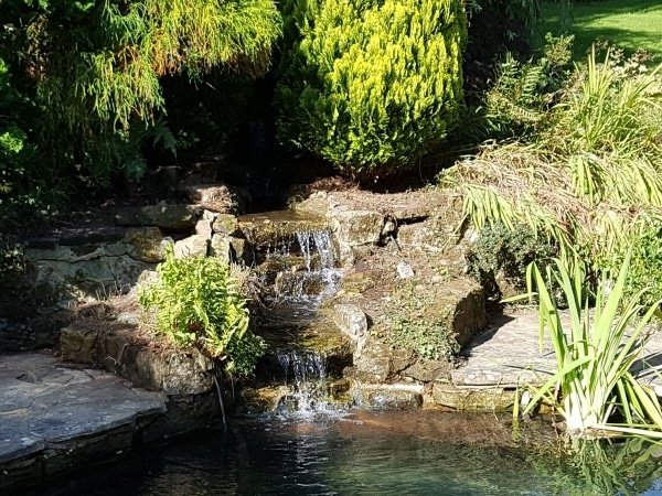 Pond Construction - Image 3