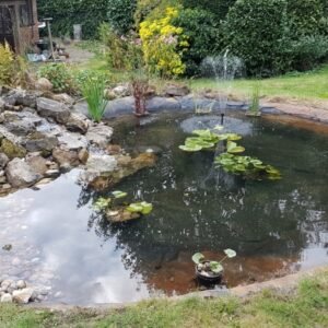 Pond cleaning / preparation before works